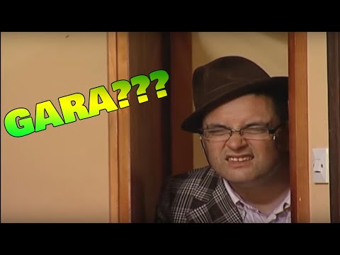 DRZAVNI POSAO - Na salasu ima jedna baba (GARA)