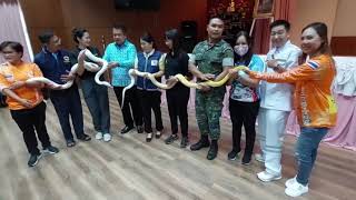 04 05 66 เทคโนโลยีราชมงคล ร่วมกับ โรงพยาบาลเบตง จัดโครงการ  การช่วยเหลืองูเพื่อรักษาสมดุลธรรมชาติ 1 04 05 66 เทคโนโลยีราชมงคล ร่วมกับ โรงพยาบาลเบตง จัดโครงการ  การช่วยเหลืองูเพื่อรักษาสมดุลธรรมชาติ 1