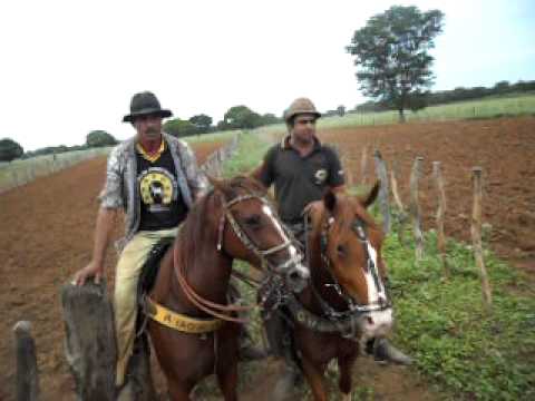 download lagu mp3 mp4 Dedeu, download mp3 Dedeu free download, download mp3 Dedeu