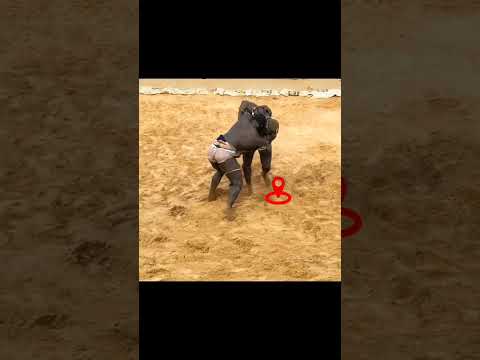 lamb senegal EUMEU SÉNE Vs ADA FASS #lamb #luttesénégalaise