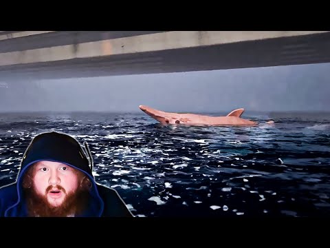 This Shark Tried To Eat Me… (Umigari Part 3 Both Endings)