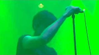 The Tears - The Asylum