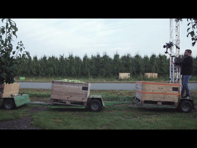 DELHAIZE : LIVE HARVEST