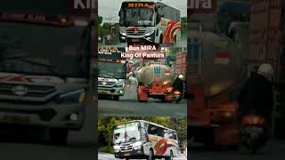 Download lagu BUS MIRA Ngeblong Super Suoss 2022 #busmania #busmira #bus #busoleng #shorts mp3 Download lagu BUS MIRA Ngeblong Super Suoss 2022 #busmania #busmira #bus #busoleng #shorts mp3