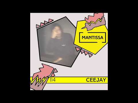 Mantissa Mix 114: Giorgi Pipia