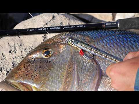 SIMPLE! MISS it YOU LOSE - SHORE JIGGING