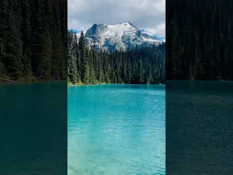 Nature’s Senerity 🌊🍃