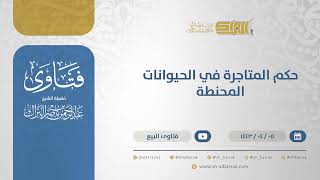 صورة حكم المتاجرة في الحيوانات المحنطة  - الشيخ عبدالرحمن البراك (12659)