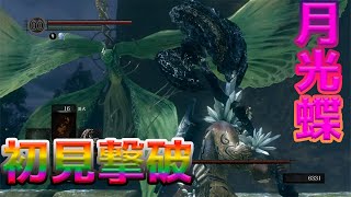死にゲー苦手の男が挑むダークソウル/月光蝶撃破＃１０