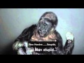Koko el gorila que habla con humanos, tiene un mensaje urgente