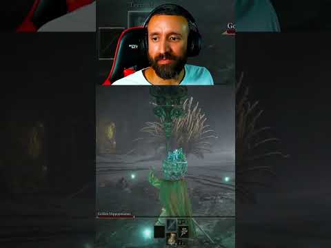 *RUNE LEVEL 1* Golden Hippopotamus Defeat | #belacpresents on #Twitch