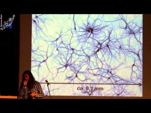 12. Science Slam Darmstadt: Manuel Maidorn - Auf die Größe kommt es an