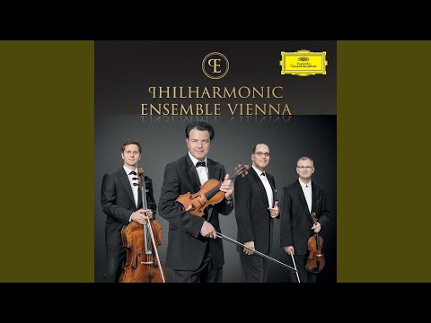 Fuchs: Piano Trio No. 1 , Op. 22: Allegro risoluto