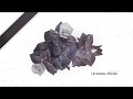 Corey Voss & Madison Street Worship - Praise Your Name (Official Lyric Video)
