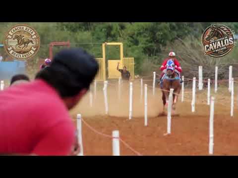 30ª CORRIDA DE CAVALOS DE NAZÁRIO - GO – PÁREO 11