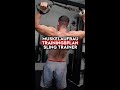 MUSKELAUFBAU TRAININGSPLAN GANZKÖRPER (Sling Trainer)💪