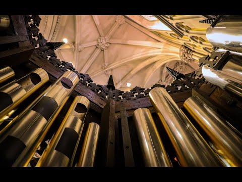 Making A New Pipe Organ: Medieval Technology in the 21st Century