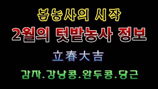[텃밭농부 1,771]  2월의 텃밭농사 정보. 입춘대길