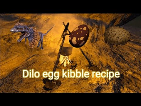 Kibble Dilo