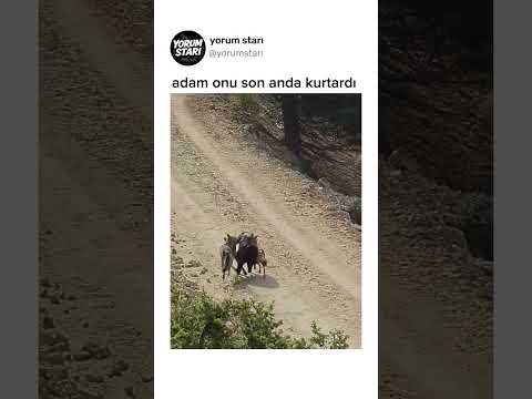 adam onu son anda  kurtardı