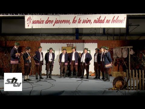 SBTV - SB INFO - OJ SAMICE DRVO JAVOROVO.... - 08.12.2019.