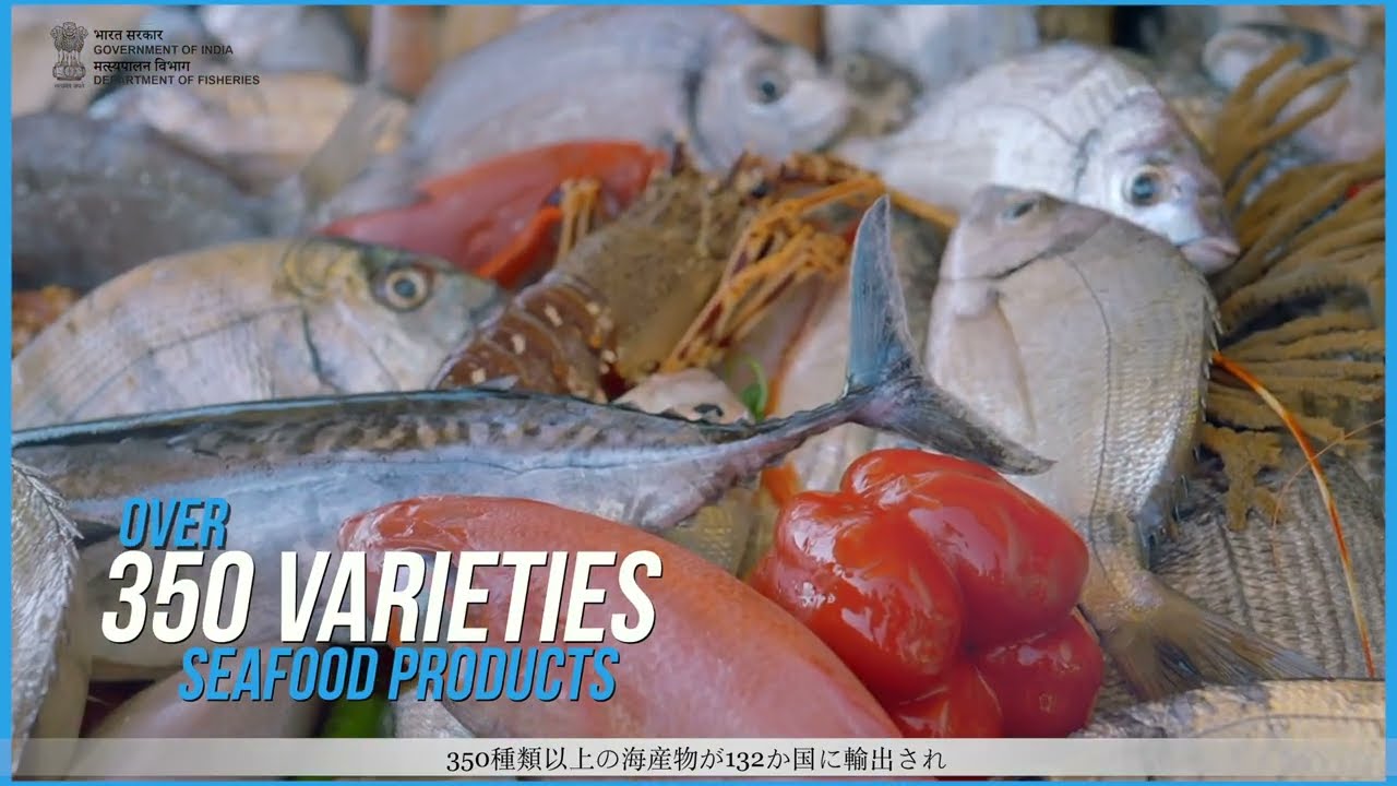 Trade potential in Fisheries