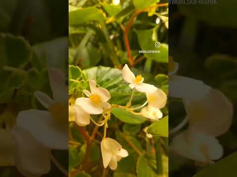 click of the day📸