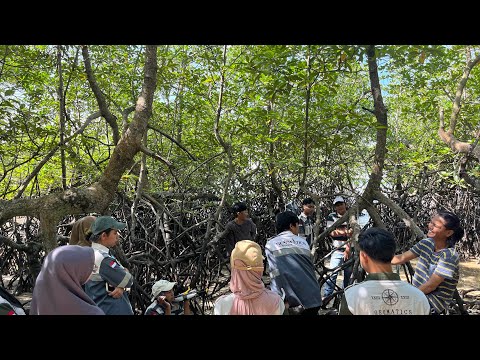 Inventarisasi dan Identifikasi Kawasan Hutan Mangrove (Fisik)