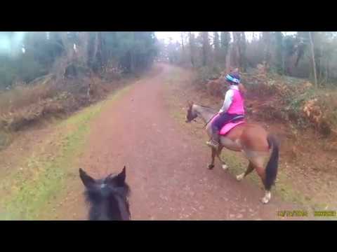 Battle Great Woods 09/12/2016 GoPro Helmet Camera