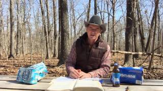 Table In The Wilderness #1