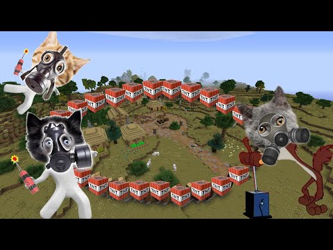 WE EXPLODED THE VILLAGE WITH THE TALKING CATS TEAM 💣 Minecraft