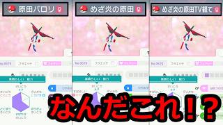 変な名前の『メガフラエッテ』が環境に爆増してます……【ポケモンチャンピオンズ】