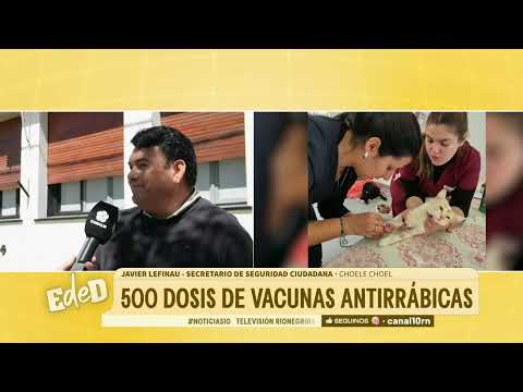 500 dosis de vacunas antirrábicas y defensas en Choele Choel
