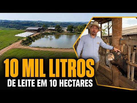 10 MIL LITROS DE LEITE EM 10 HECTARES | Chácara Estruturada em Palmitinho/RS