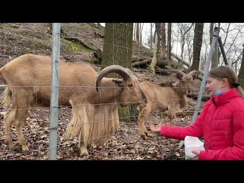 Schülers on Tour 😎  Tiergarten Halberstadt
