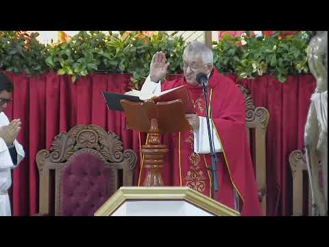 Santa Misa de 8:00 am | Domingo de Ramos en la pasión del Señor| Domingo 29 de Marzo de 2026