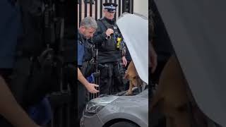 Sniffer dogs searchable car out side the gates of 