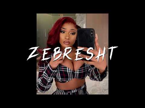 Megan Thee Stallion Type Beat 2024 | BIA x Flo Milli Type Beat 2024 -  "ZEBRESHT"