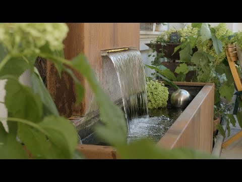 Heurigenkultur neu interpretiert - Weingut Die Schwertführerinnen