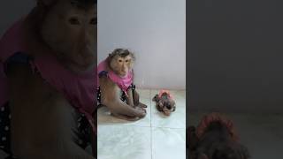 Download lagu Great Video of SokYaa,ToTo , Phao And Sokhaa are HARMONY And Fun Will MAKE YOU SMILE mp3 Download lagu Great Video of SokYaa,ToTo , Phao And Sokhaa are HARMONY And Fun Will MAKE YOU SMILE mp3