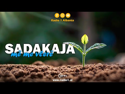 Cila është sadakaja më me vlerë