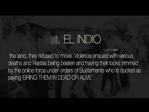 CORAL GARDENS VIDEO PROMO