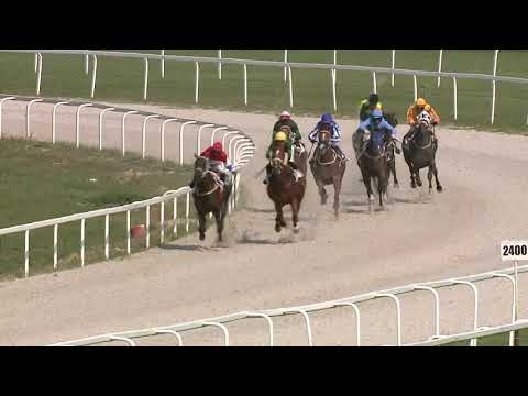 2021.07.25. 05. futam - GÖDI HENDIKEP (III.o.) (szintetikus pálya)