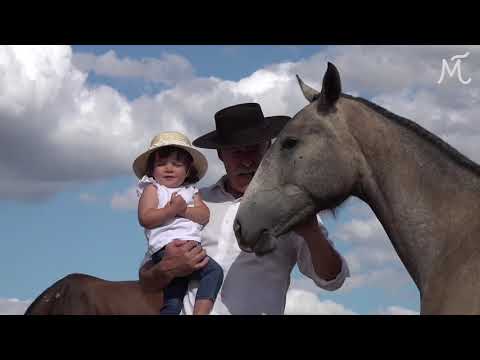 30 Coudelaria Manuel Teixeira