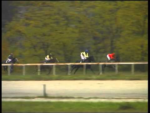 "Trka šampiona" 3200m - Hipodrom Beograd - 2003. godine