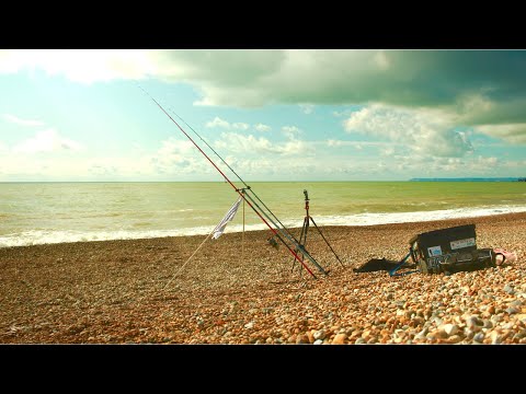 Små havål fra den engelske kyst