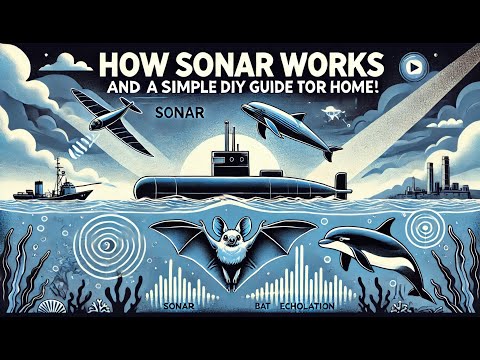 How Sonar Works and a Simple DIY Guide for Home!