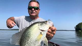 What!! On a crappie jig!?!.  Deep brush - Crappie Fishing - High Rock Lake