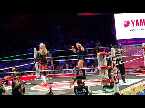 JAPANESE WRESTLERS MIMA SHIMODA AND  ZATARA, AMERICAN STEPHANIE VAQUER AND EXOTIC WRESTLER WILD DIVA