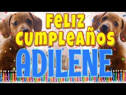 ¡Feliz cumpleaños Adilene! (Perros hablando gracioso) ¡Muchas felicidades Adilene!